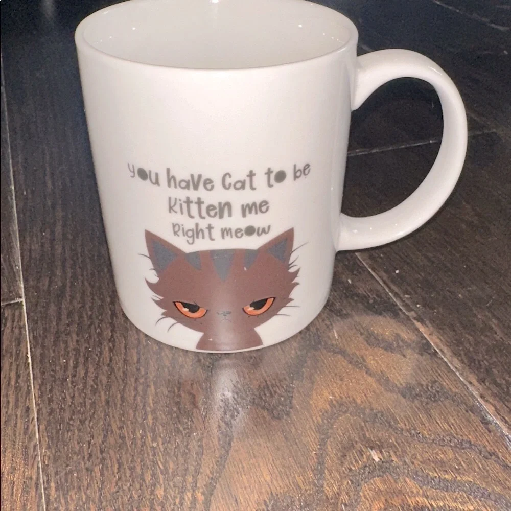 You have to be kitten me right meow cute cat mug